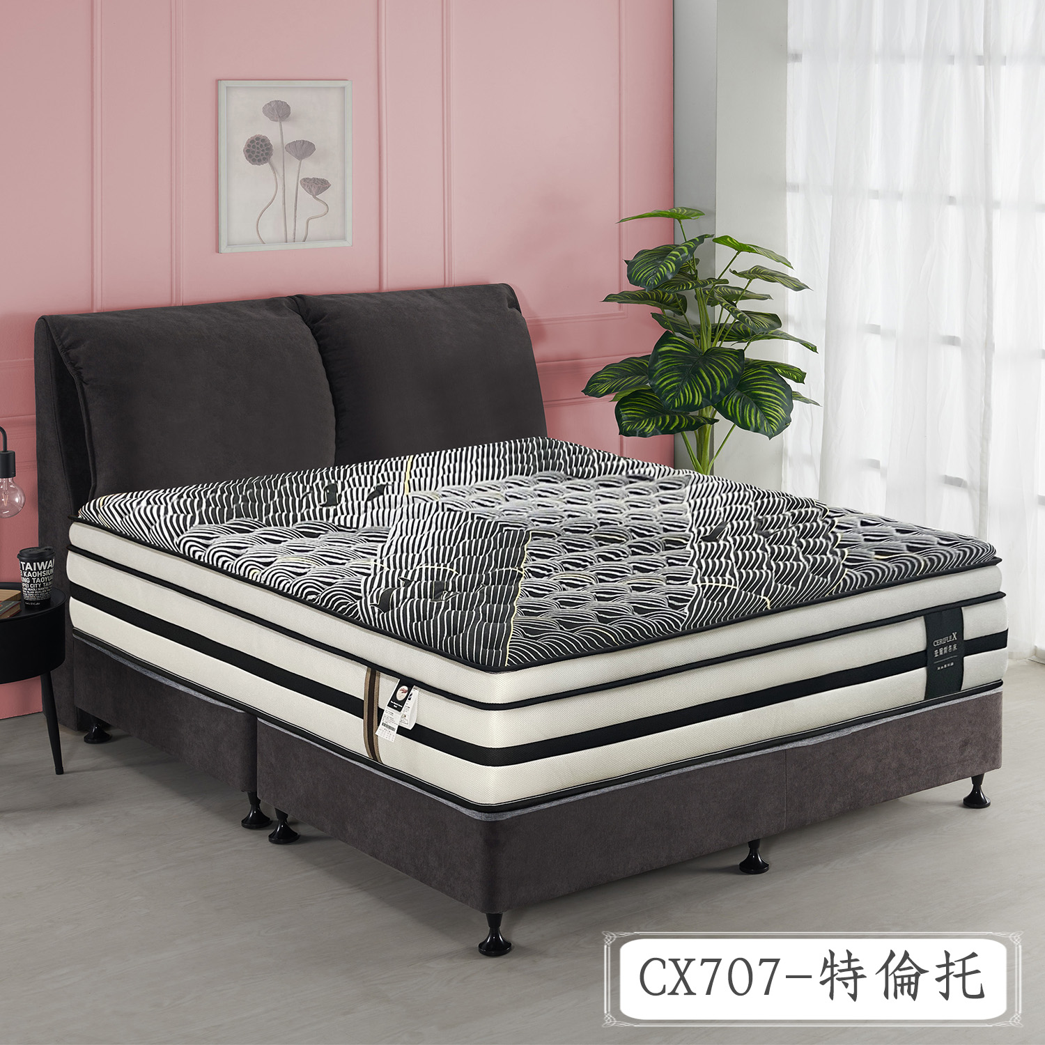 CX707-特倫托<br>軟○○●○○○○硬