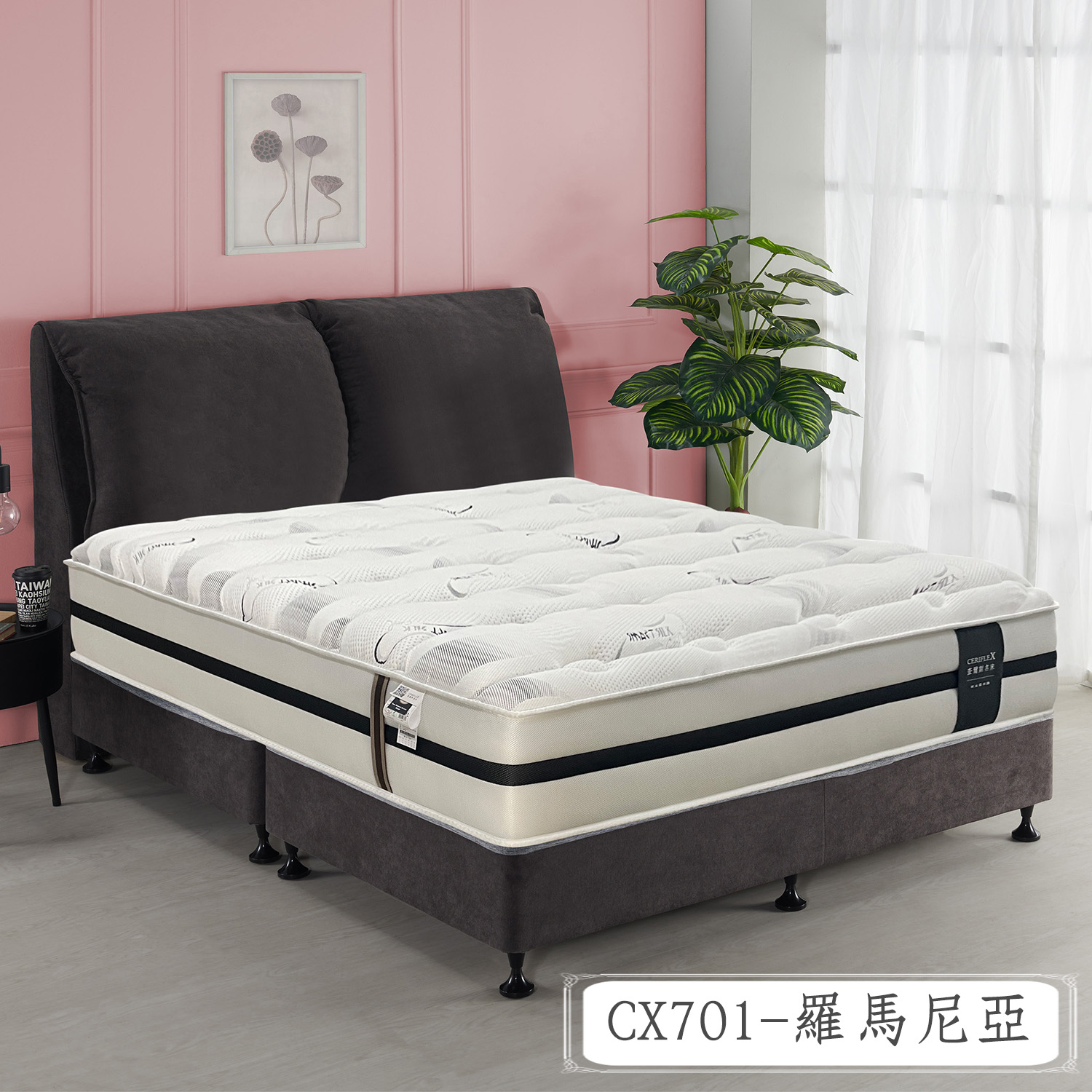 CX701-羅馬尼亞<br>軟●○○○○○○硬