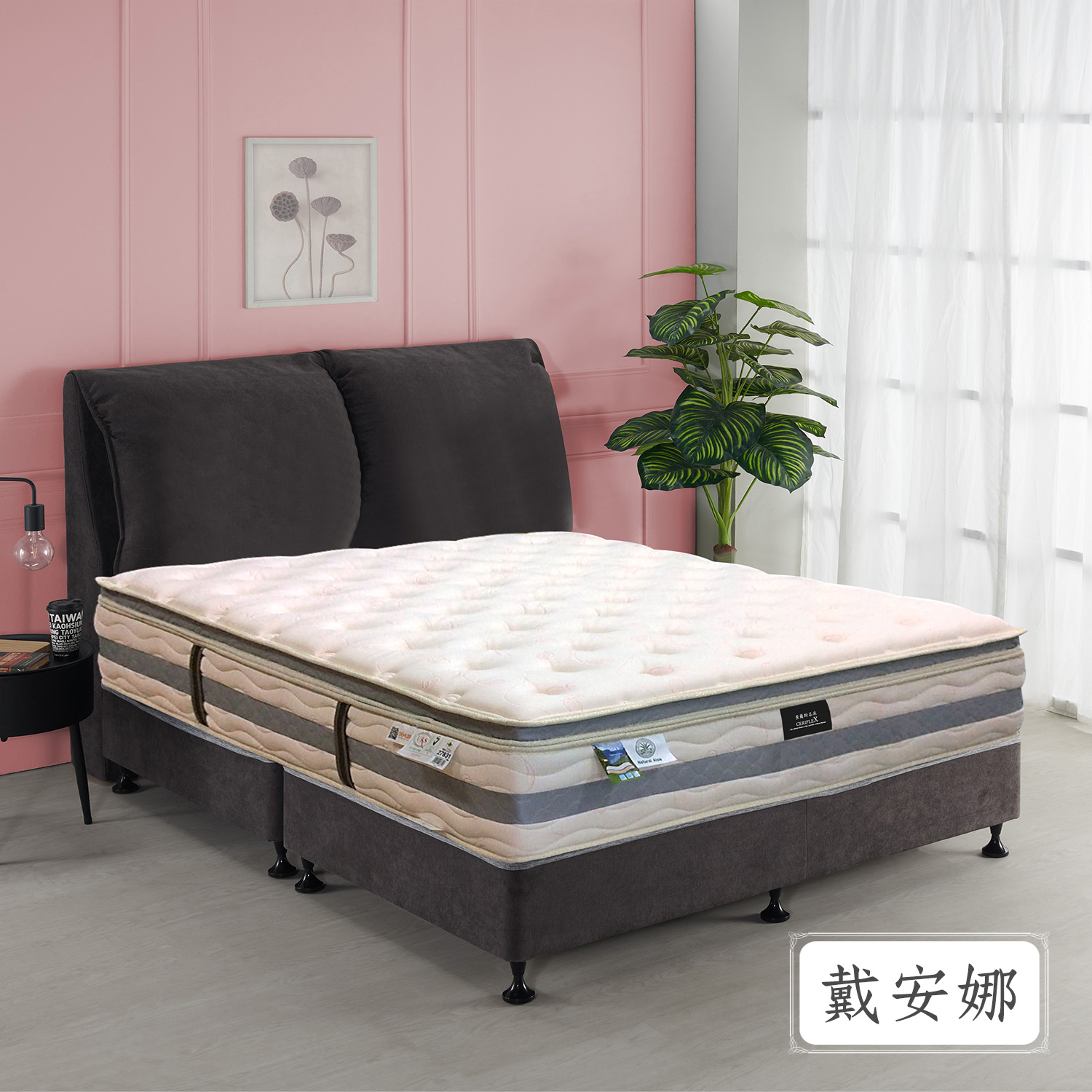 戴安娜<br>軟○○●○○○○硬