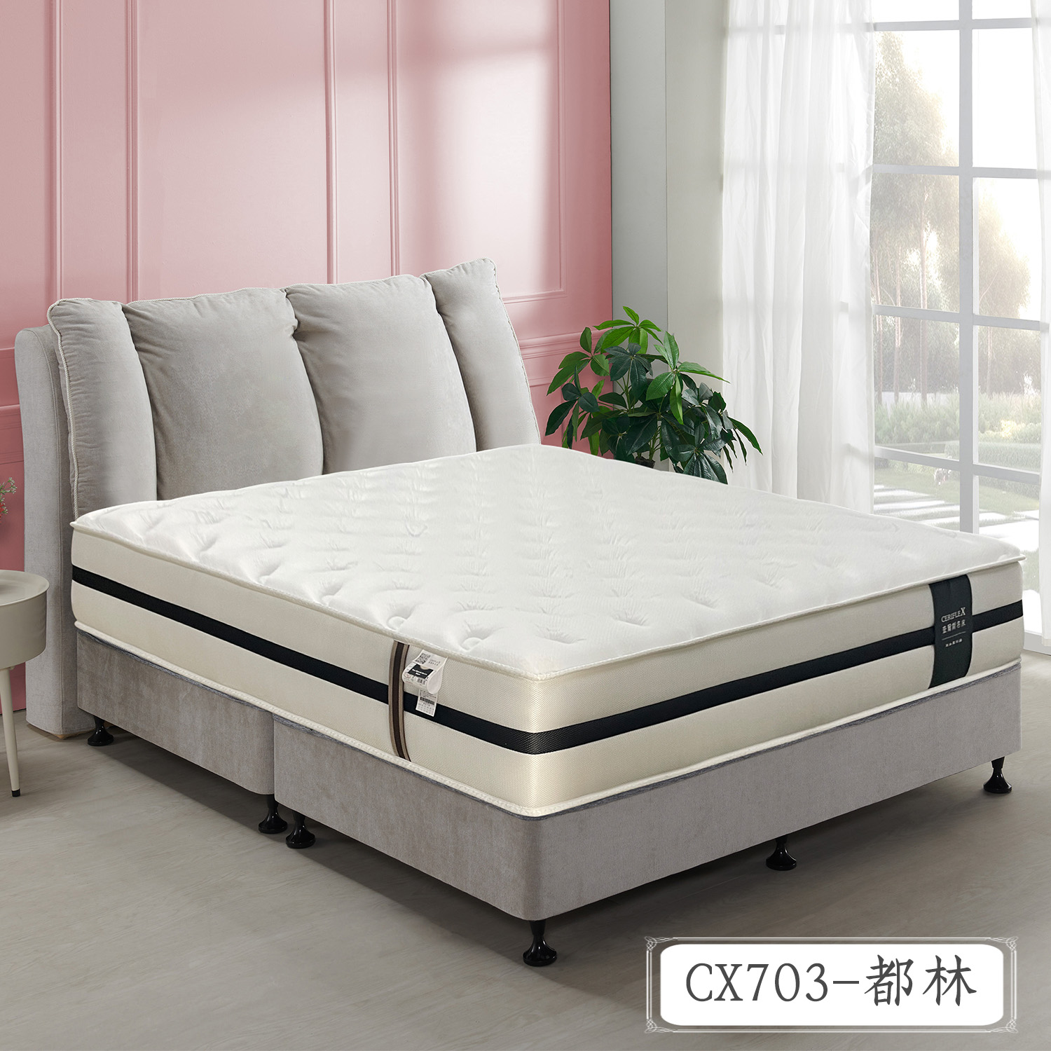 CX703-都林<br>軟○○○○○●○硬