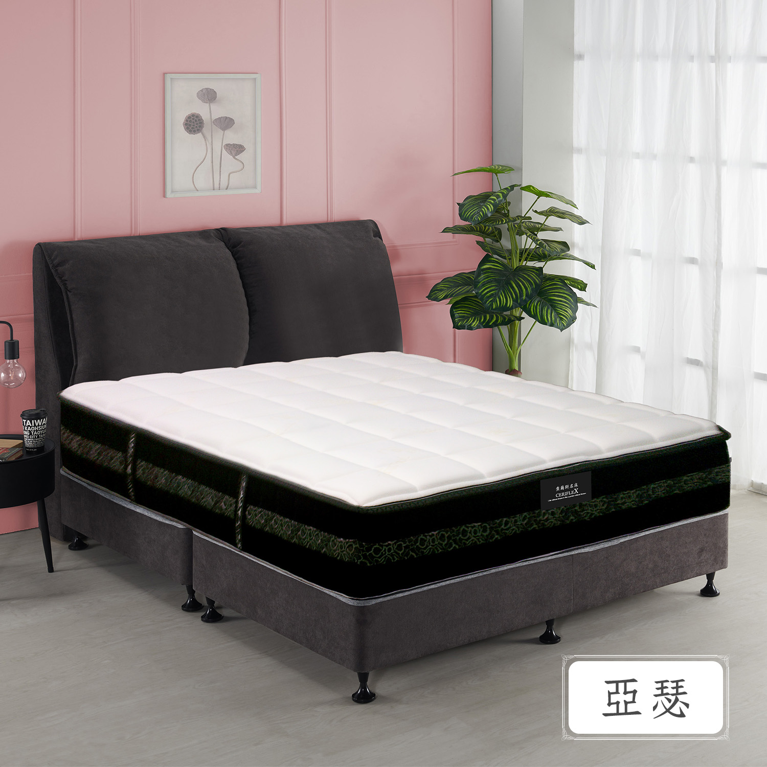 亞瑟<br>軟○○○○○●○硬