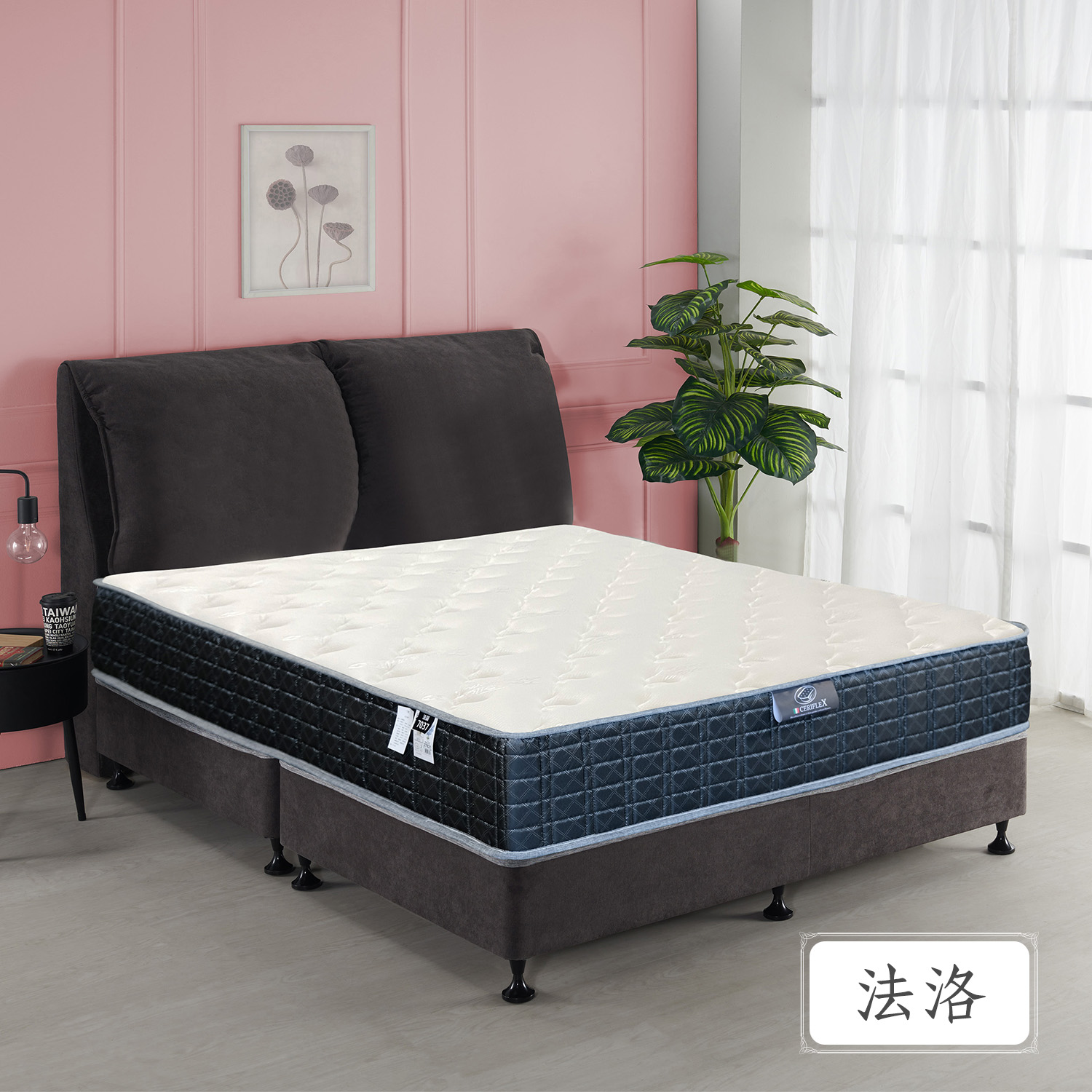 法洛<br>軟○○○●○○○硬