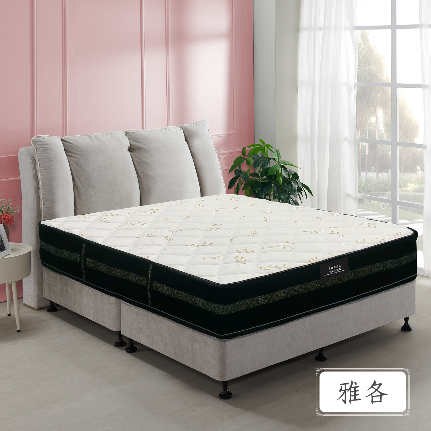 雅各<br>軟○○●○○○○硬