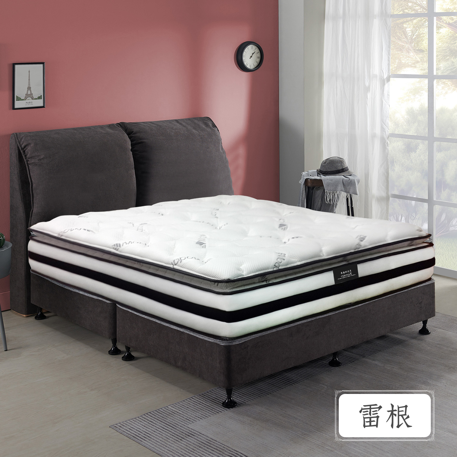 雷根<br>軟○○●○○○○硬