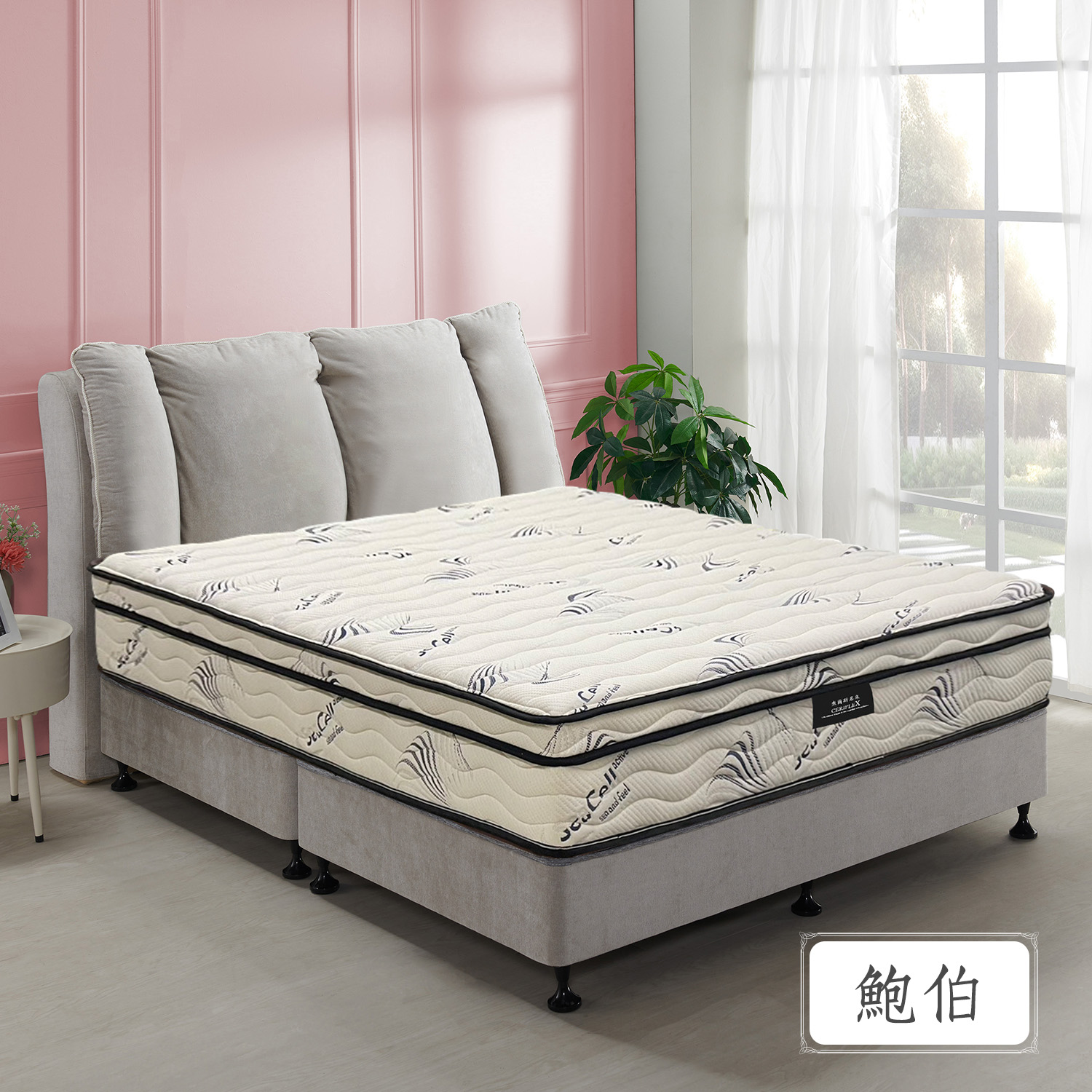 鮑伯<br>軟○○○○○●○硬