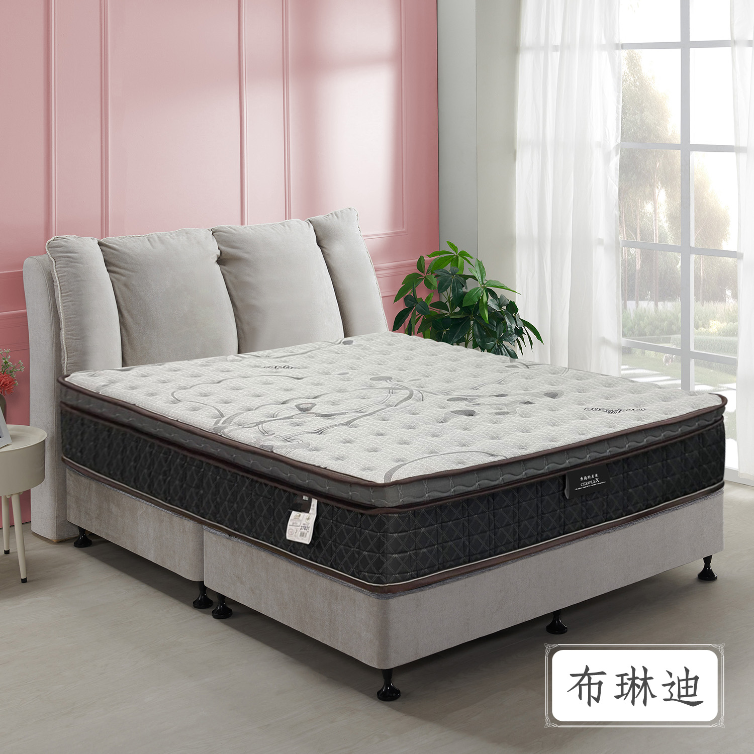 布琳迪<br>軟○○○○●○○硬