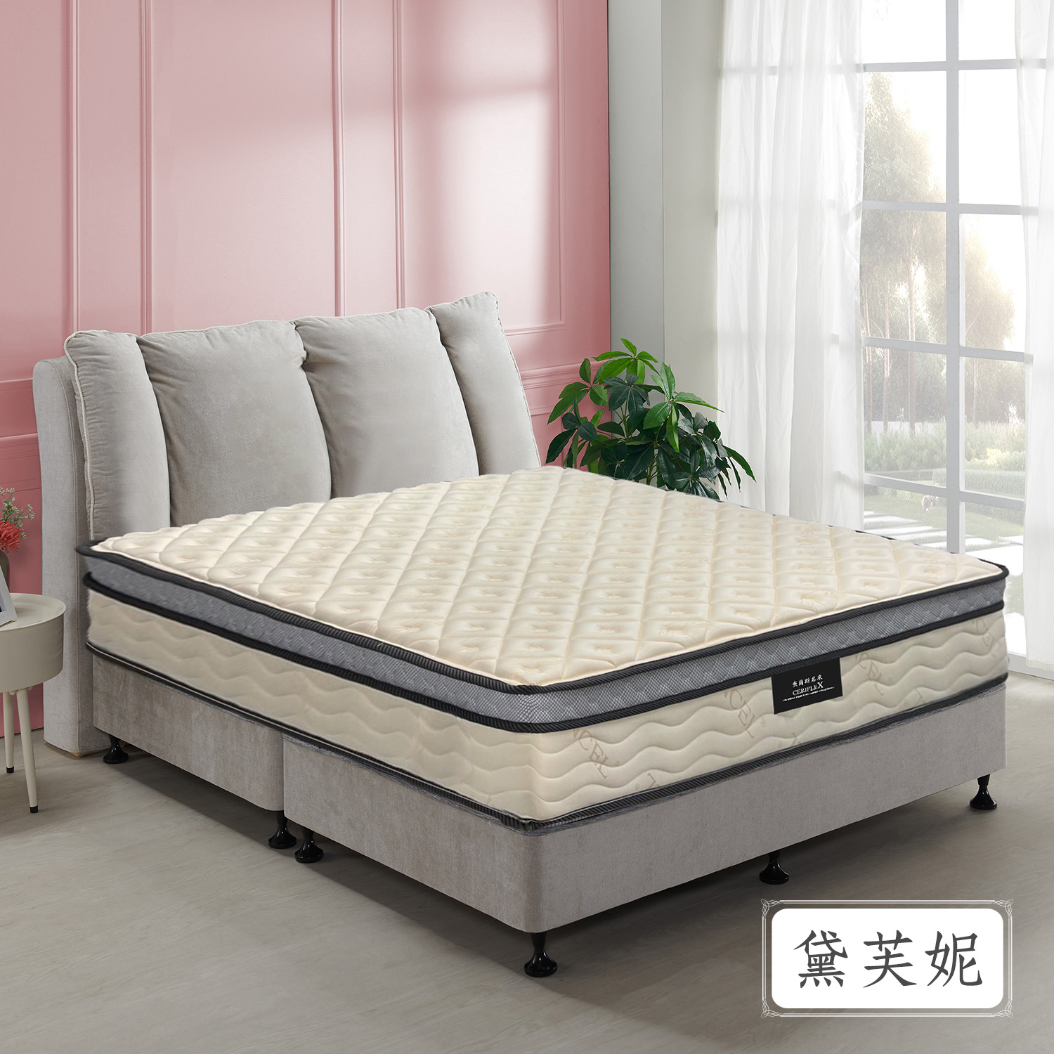 黛芙妮<br>軟○○○○●○○硬